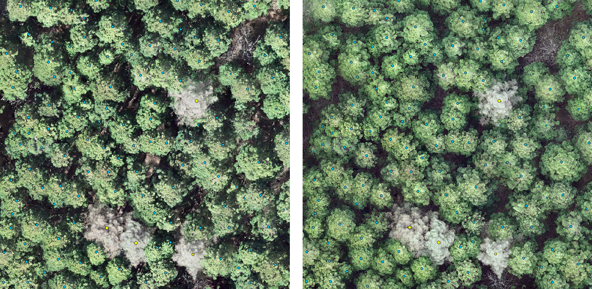 Forest_Media_Works_Inc4.png
